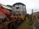 Tasrail locomotive